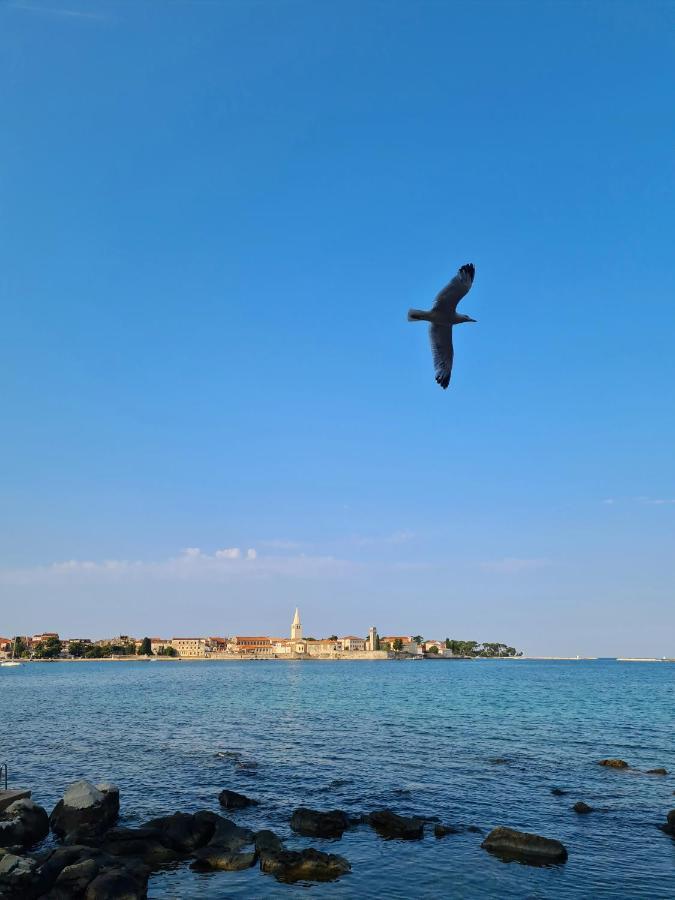 Old Town Parenso * Porec